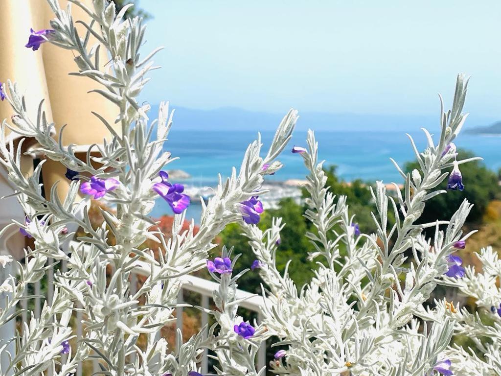 S'O Suites Tropea Εξωτερικό φωτογραφία